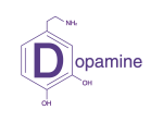 logo-texte-mauve